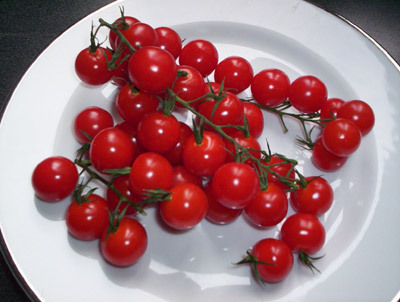 cherry_tomatoes.jpg