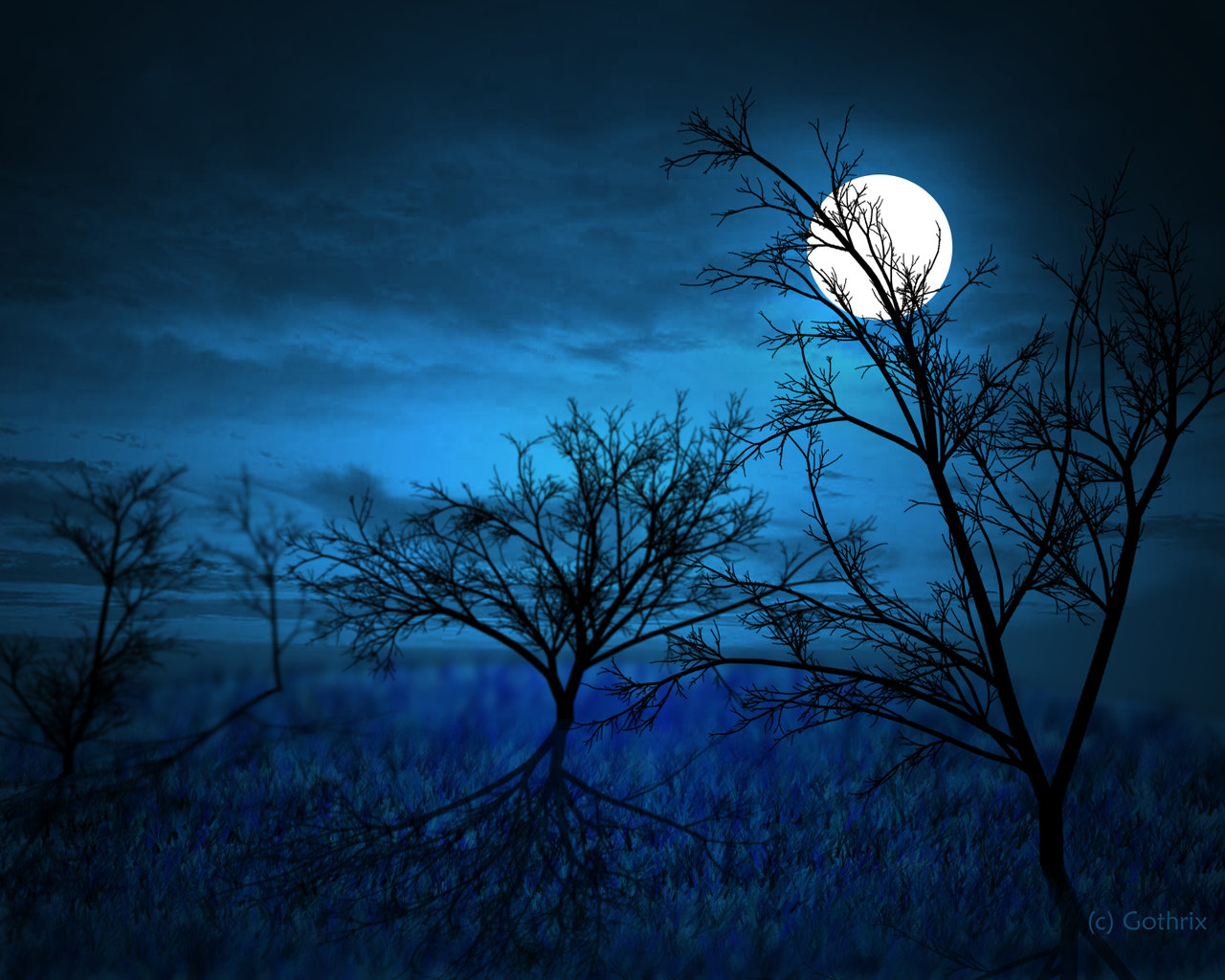 full_moon_____midnight_forest_by_gothrix.jpg