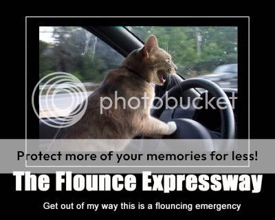 flounceexpressway.jpg