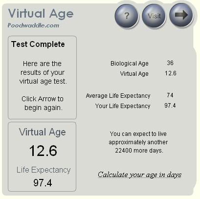 virtual_age_20100203.jpg