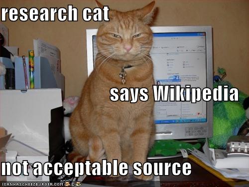 research-cat-lolcat.jpg