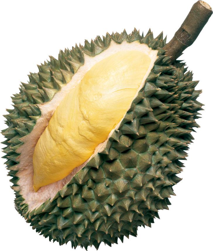 durian-13202353_std.jpg