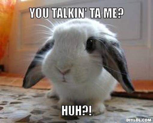 cute-bunny-meme-generator-you-talkin-ta-me-huh-93d525.jpg