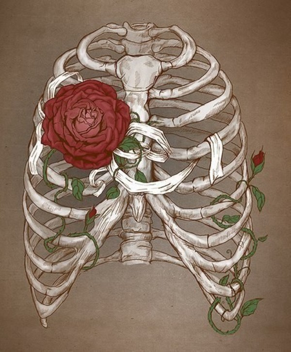art-bones-flowers-ribs-rose-Favim.com-783990.jpg