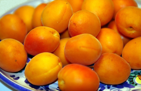 apricots_best.jpg