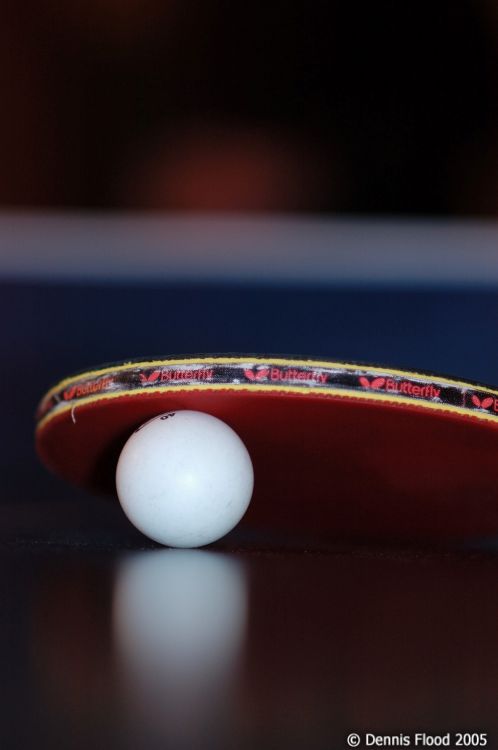 l-ping-pong-ball-and-paddle_7506.jpg