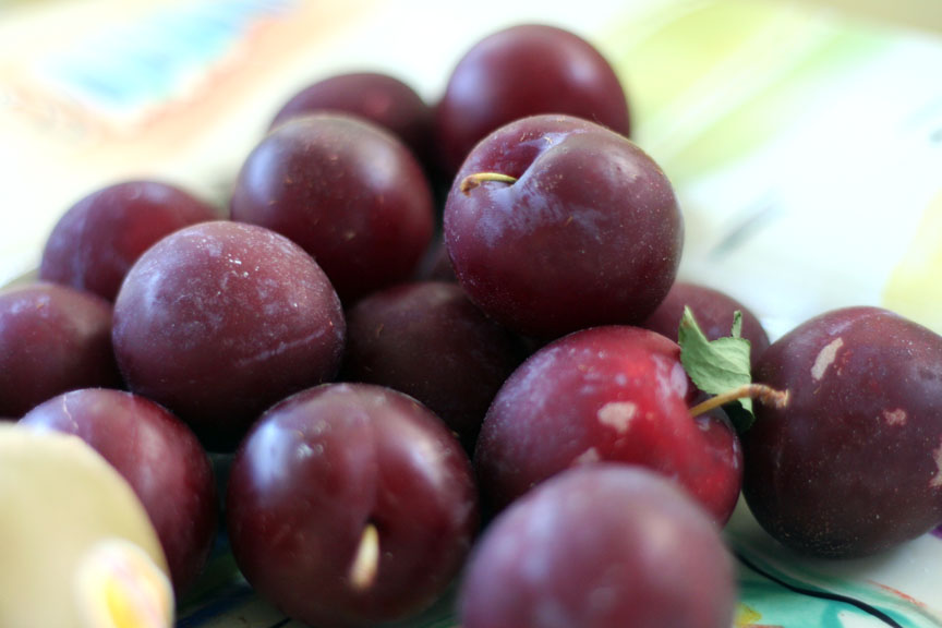 fresh-plums2.jpg