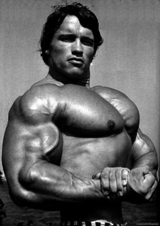 Arnold-Schwarzenegger.jpg