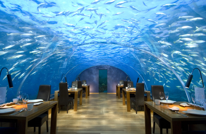 maldives_underwater_restaurant.jpg