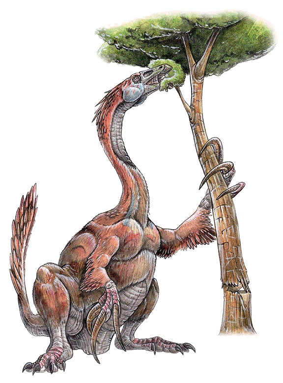 therizinosaurus_cheloniformis2-web.gif