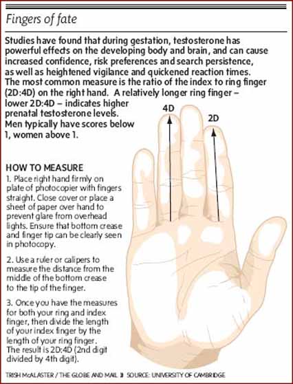 fingers-of-fate-measurement-2d-4d-digit-ratio.jpg