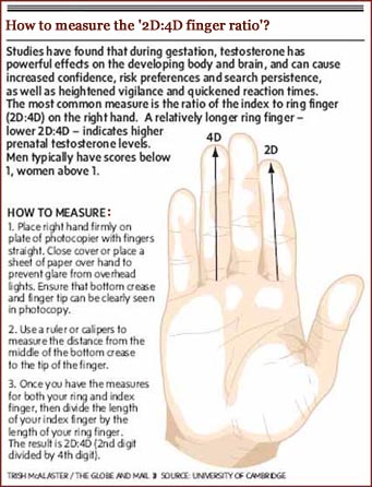 how-to-measure-finger-digit-ratio.jpg