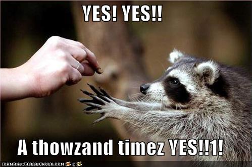 funny-pictures-racoon-yes.jpg