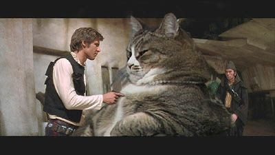 jabba-the-cat.jpg