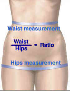 waist-hips-ratio.jpg