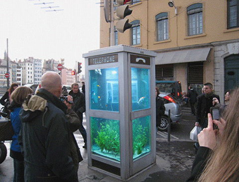 aquarium-phone-booth3.jpg