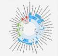 Personality Graph.png